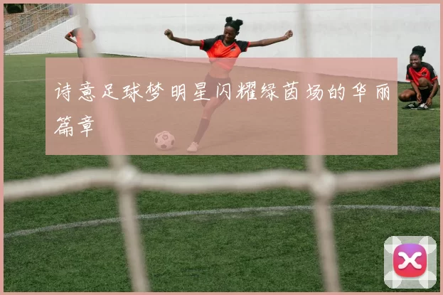 诗意足球梦明星闪耀绿茵场的华丽篇章