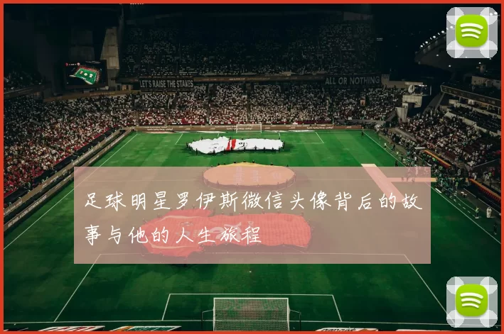 足球明星罗伊斯微信头像背后的故事与他的人生旅程