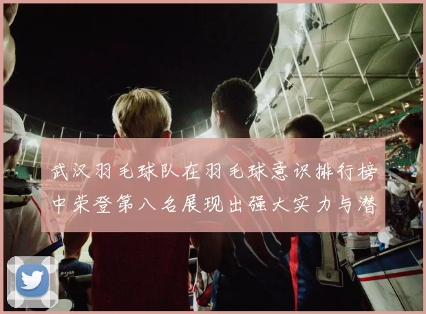 武汉羽毛球队在羽毛球意识排行榜中荣登第八名展现出强大实力与潜力