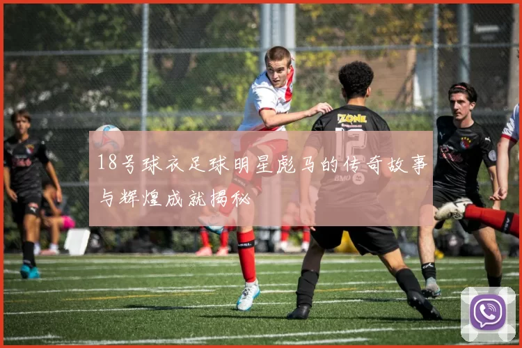18号球衣足球明星彪马的传奇故事与辉煌成就揭秘