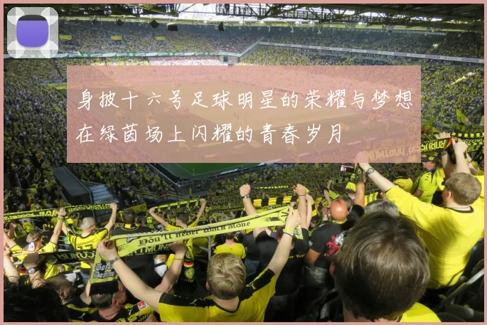 身披十六号足球明星的荣耀与梦想在绿茵场上闪耀的青春岁月