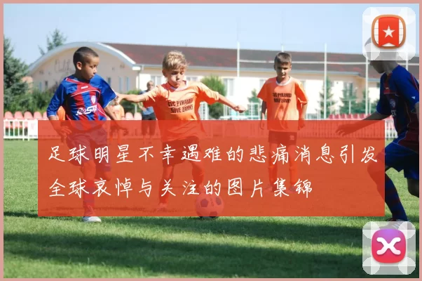 足球明星不幸遇难的悲痛消息引发全球哀悼与关注的图片集锦