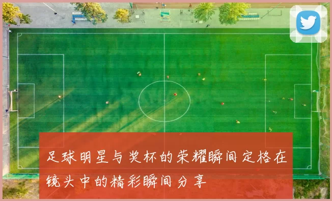足球明星与奖杯的荣耀瞬间定格在镜头中的精彩瞬间分享