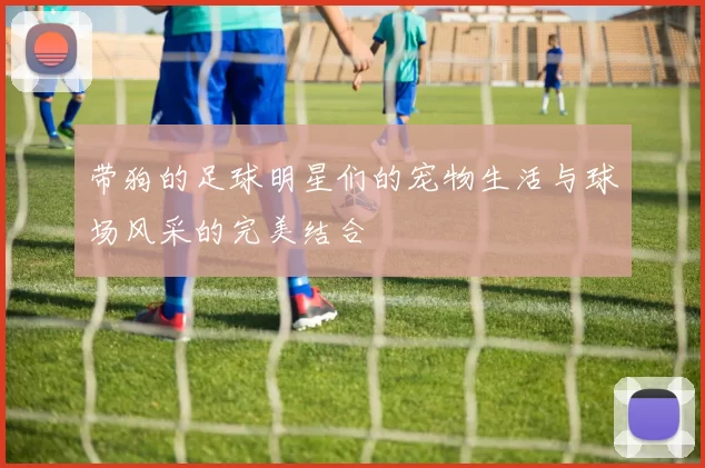 带狗的足球明星们的宠物生活与球场风采的完美结合