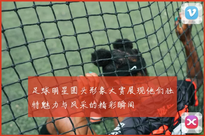 足球明星圆头形象大赏展现他们独特魅力与风采的精彩瞬间