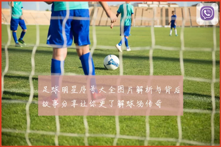 足球明星序号大全图片解析与背后故事分享让你更了解球场传奇