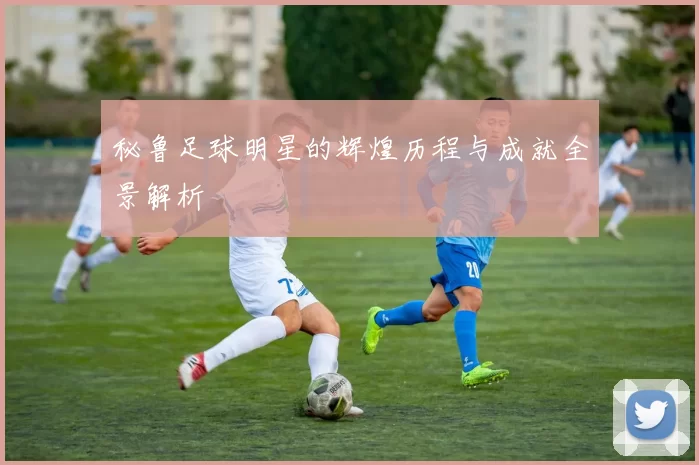 秘鲁足球明星的辉煌历程与成就全景解析
