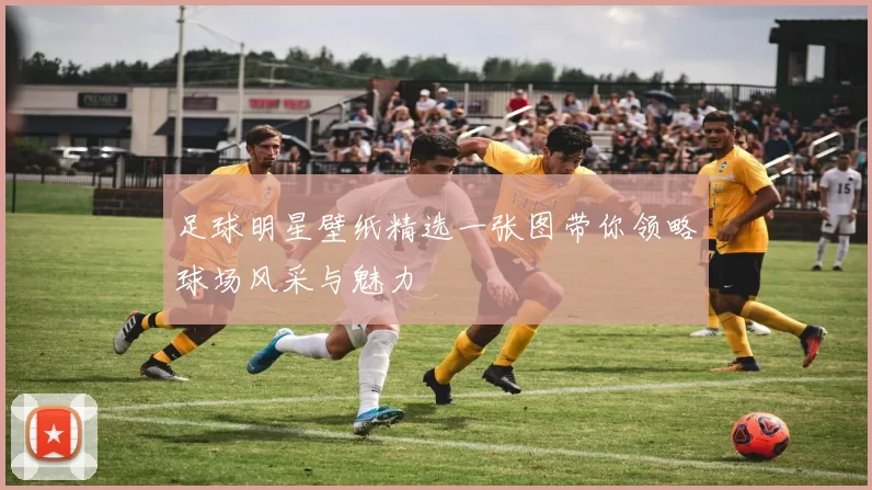 足球明星壁纸精选一张图带你领略球场风采与魅力