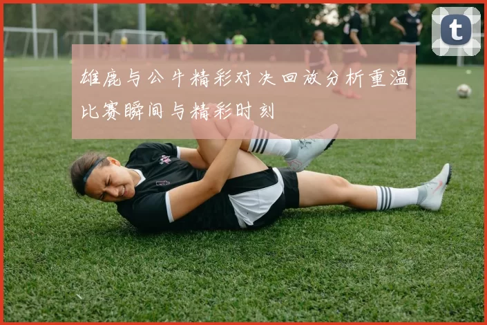 雄鹿与公牛精彩对决回放分析重温比赛瞬间与精彩时刻