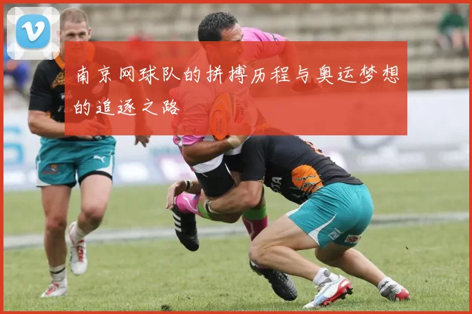 南京网球队的拼搏历程与奥运梦想的追逐之路